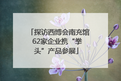 探访西博会南充馆 62家企业携“拳头”产品参展