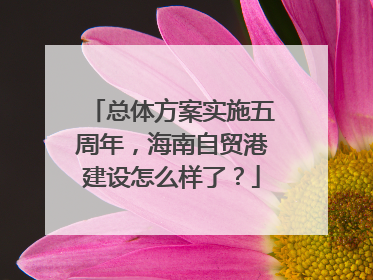 总体方案实施五周年，海南自贸港建设怎么样了？
