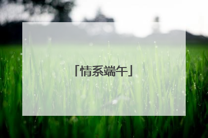 情系端午