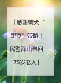 感谢警犬“黑豆”带路！民警深山寻回75岁老人