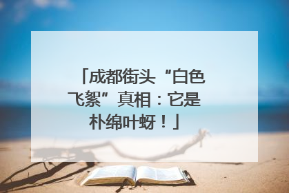 成都街头“白色飞絮”真相：它是朴绵叶蚜！