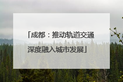 成都：推动轨道交通深度融入城市发展