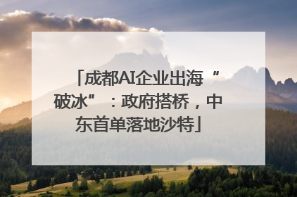 成都AI企业出海“破冰”：政府搭桥，中东首单落地沙特