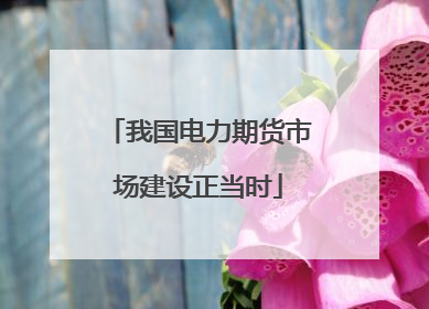 我国电力期货市场建设正当时