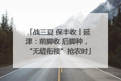 战三夏 保丰收丨延津：前脚收 后脚种，“无缝衔接”抢农时