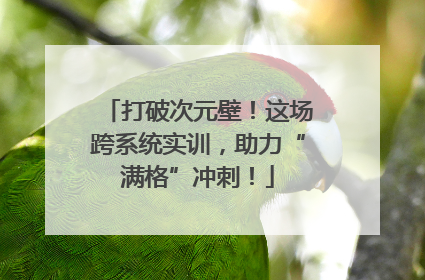 打破次元壁！这场跨系统实训，助力“满格”冲刺！