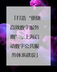 打造“便捷高效数字服务圈”，上海启动数字公共服务体系建设