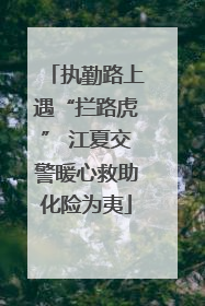 执勤路上遇“拦路虎” 江夏交警暖心救助化险为夷