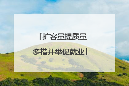扩容量提质量 多措并举促就业