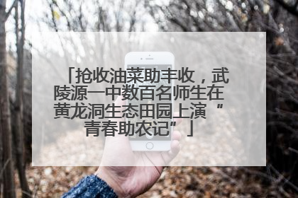 抢收油菜助丰收，武陵源一中数百名师生在黄龙洞生态田园上演“青春助农记”