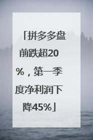 拼多多盘前跌超20%，第一季度净利润下降45%
