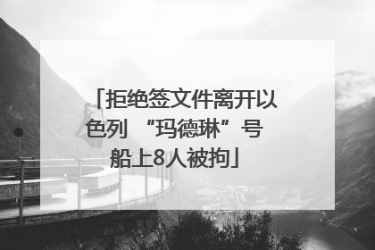 拒绝签文件离开以色列 “玛德琳”号船上8人被拘