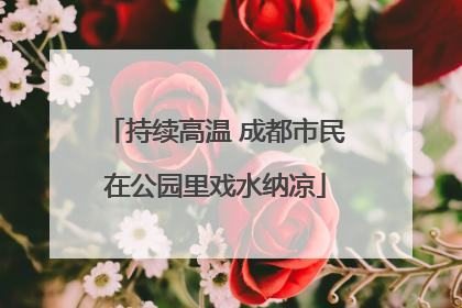 持续高温 成都市民在公园里戏水纳凉