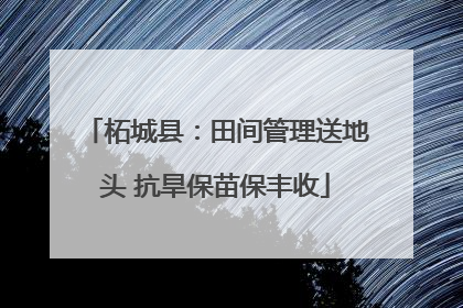柘城县：田间管理送地头 抗旱保苗保丰收