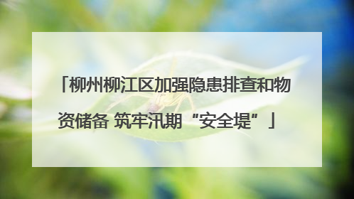柳州柳江区加强隐患排查和物资储备 筑牢汛期“安全堤”