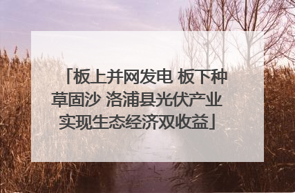 板上并网发电 板下种草固沙 洛浦县光伏产业实现生态经济双收益