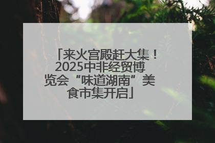 来火宫殿赶大集！2025中非经贸博览会“味道湖南”美食市集开启