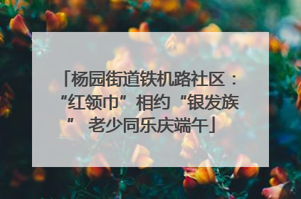 杨园街道铁机路社区：“红领巾”相约“银发族” 老少同乐庆端午
