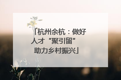 杭州余杭：做好人才“聚引留” 助力乡村振兴
