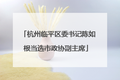 杭州临平区委书记陈如根当选市政协副主席