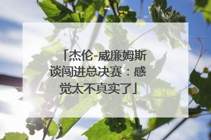 杰伦-威廉姆斯谈闯进总决赛：感觉太不真实了