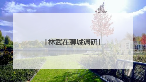 林武在聊城调研