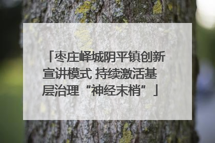 枣庄峄城阴平镇创新宣讲模式 持续激活基层治理“神经末梢”