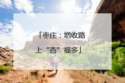 枣庄：增收路上“杏”福多