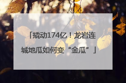 撬动174亿！龙岩连城地瓜如何变“金瓜”