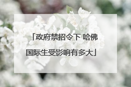 政府禁招令下 哈佛国际生受影响有多大