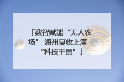 数智赋能“无人农场” 海州夏收上演“科技丰景”