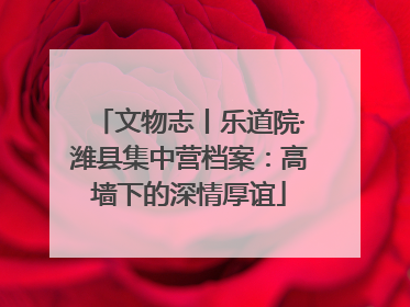 文物志丨乐道院·潍县集中营档案：高墙下的深情厚谊