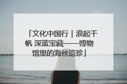 文化中国行｜浪起千帆 深蓝宝藏——博物馆里的海丝遗珍