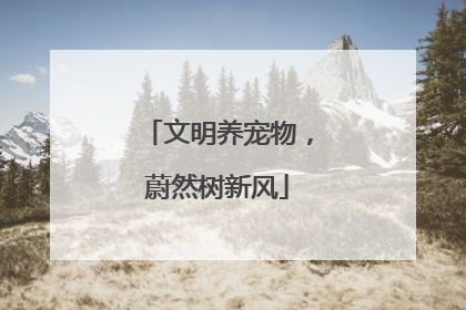 文明养宠物，蔚然树新风
