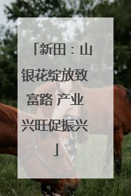 新田：山银花绽放致富路 产业兴旺促振兴