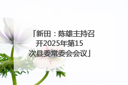 新田：陈雄主持召开2025年第15次县委常委会会议