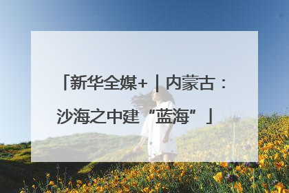 新华全媒+｜内蒙古：沙海之中建“蓝海”