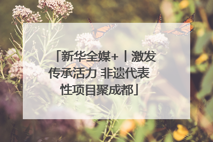 新华全媒+丨激发传承活力 非遗代表性项目聚成都