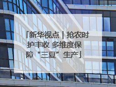 新华视点｜抢农时 护丰收 多维度保障“三夏”生产