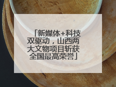 新媒体+科技双驱动，山西两大文物项目斩获全国最高荣誉