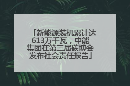 新能源装机累计达613万千瓦，申能集团在第三届碳博会发布社会责任报告