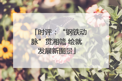 时评：“钢铁动脉”贯湘赣 绘就发展新图景