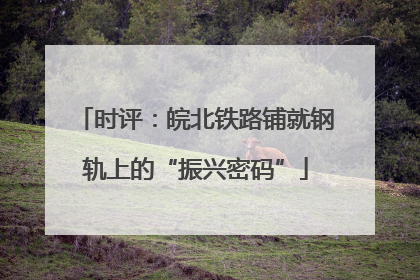 时评：皖北铁路铺就钢轨上的“振兴密码”