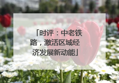 时评：中老铁路，激活区域经济发展新动能