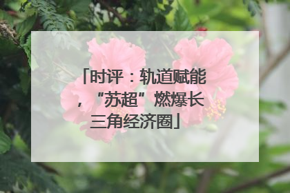 时评：轨道赋能，“苏超”燃爆长三角经济圈