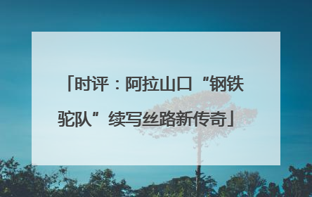 时评：阿拉山口“钢铁驼队”续写丝路新传奇