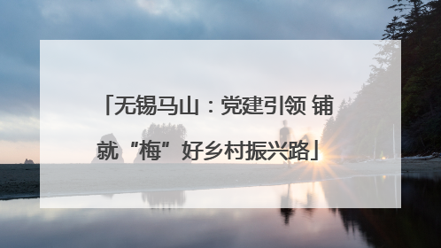 无锡马山：党建引领 铺就“梅”好乡村振兴路