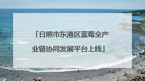 日照市东港区蓝莓全产业链协同发展平台上线