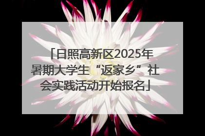 日照高新区2025年暑期大学生“返家乡”社会实践活动开始报名