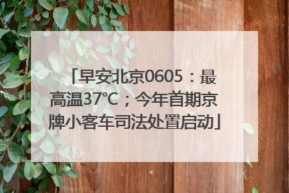 早安北京0605：最高温37℃；今年首期京牌小客车司法处置启动
